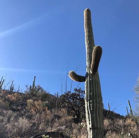 Sabino Canyon on Mother's Day 2018